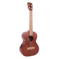 Tenor Ukulele