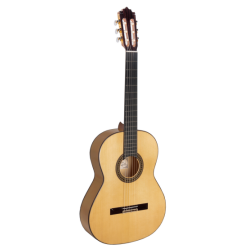 Paco Castillo Flamenko Gitar Mod-214F