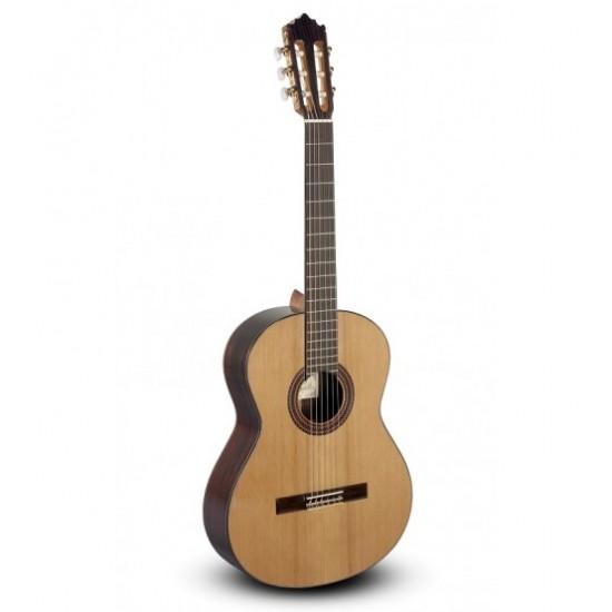 Paco Castillo Klasik Gitar Mod-203