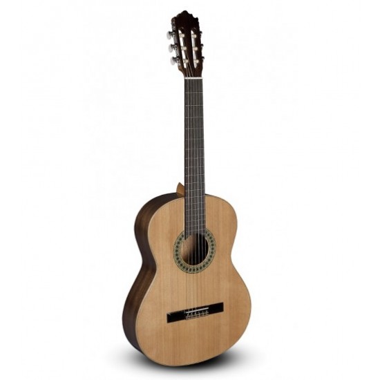 Paco Castillo Klasik Gitar Mod-201