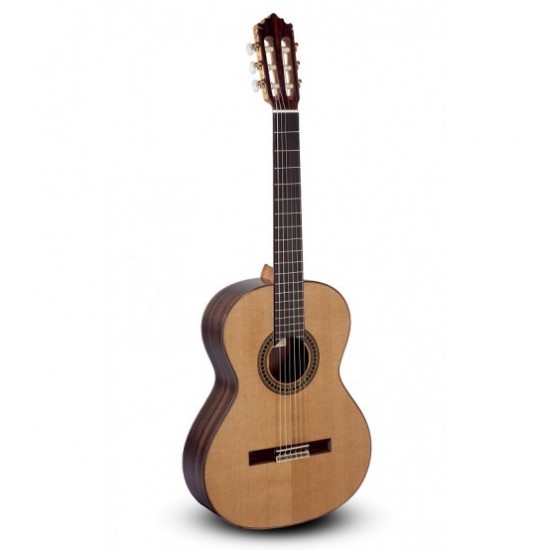 Paco Castillo Klasik Gitar Mod-204